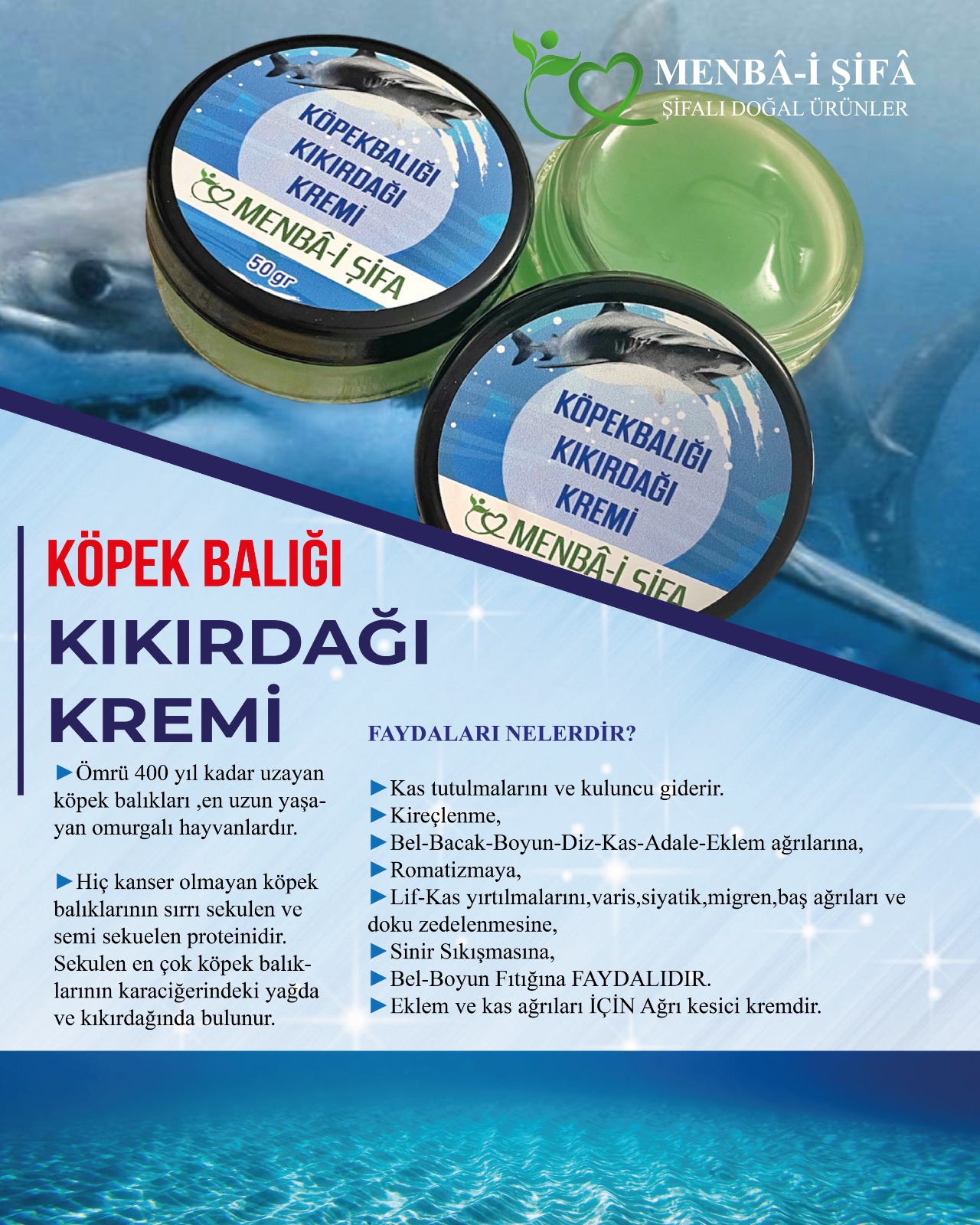 KÖPEKBALIĞI%20KIKIRDAĞI%20KREMİ%20(50%20gr)