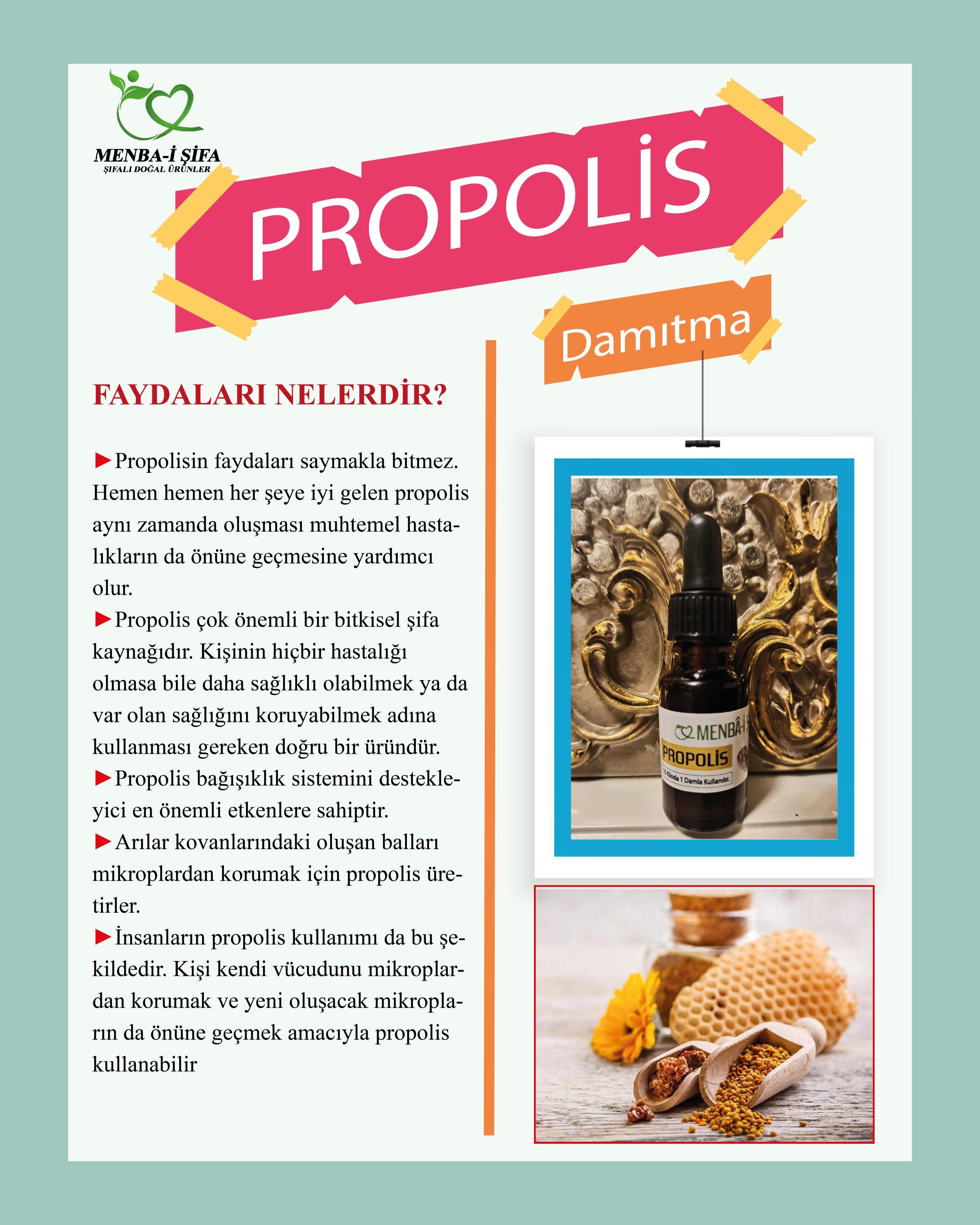 PROPOLİS%20(17%20ML)